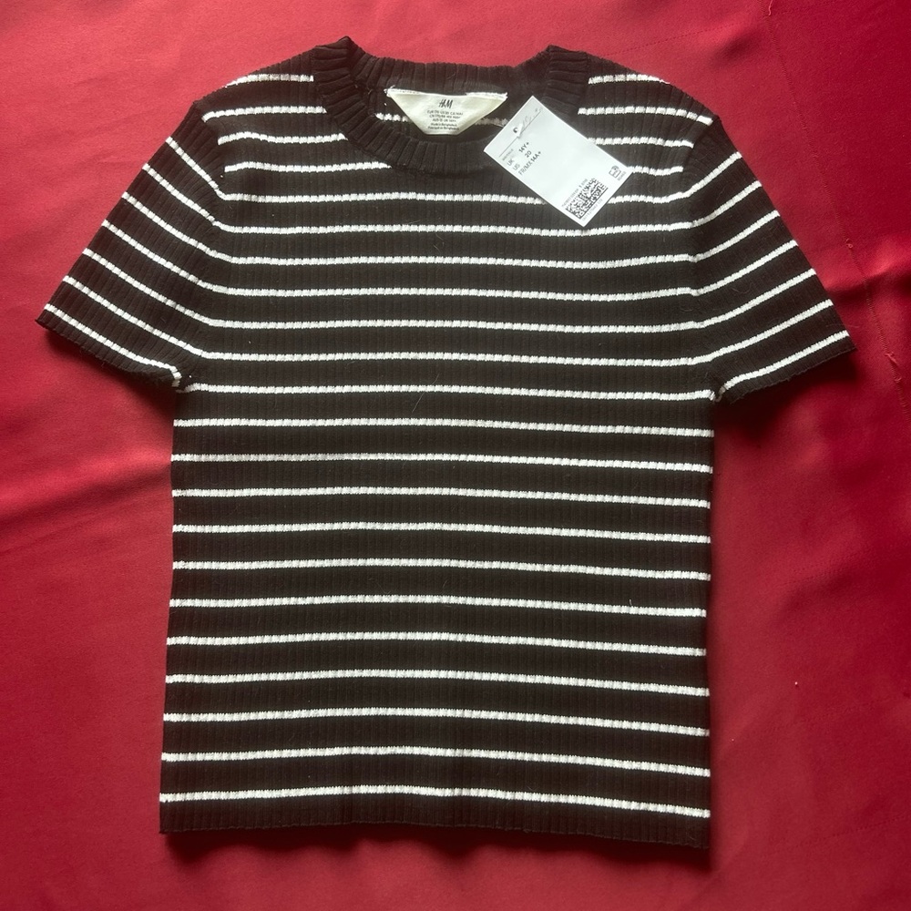H&M Black and White Striped Sweater
